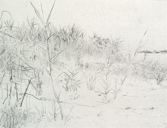 Image - Ilia Repin: Flats near Nykopil (1880).